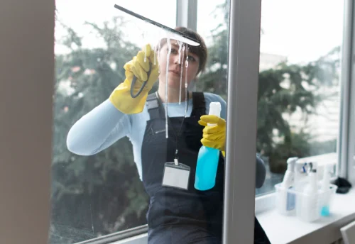 Nettoyage de vitres intérieures et extérieures à Donges